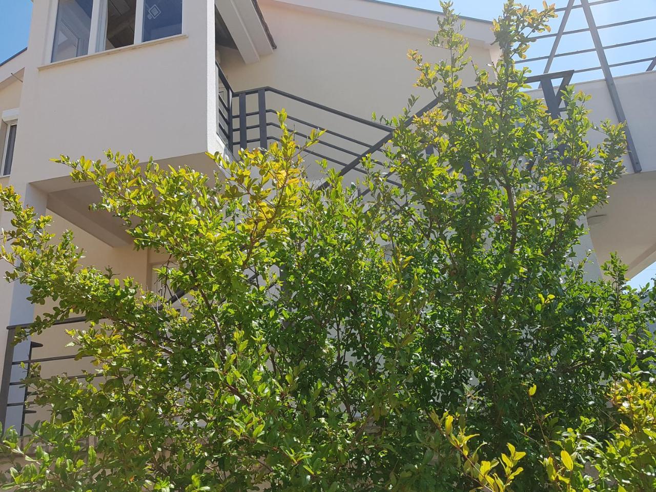Ivanica Apartments Maria מראה חיצוני תמונה
